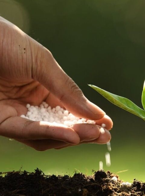 Turf Fertilizer