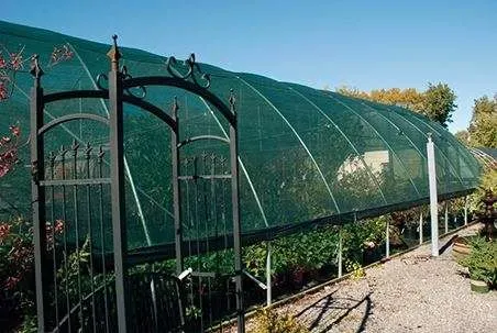 Shade Cloth / Privacy Shade 6&#39;x100&#39; Green
