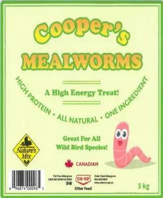 Mealworms 5KG