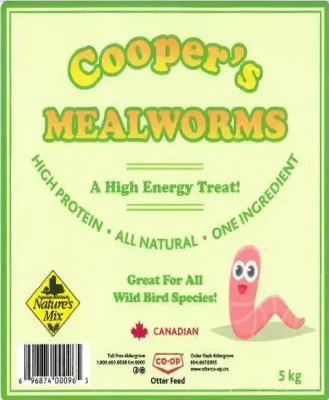 Mealworms 1KG