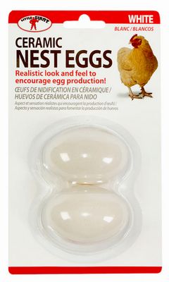 Eggs white ceramic 2PKG