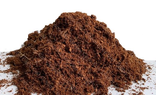 Coco Coir Blocks ( coconut husks - a peat alternative)