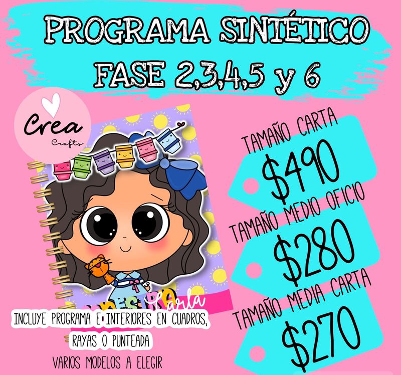 PROGRAMA SINTÉTICO