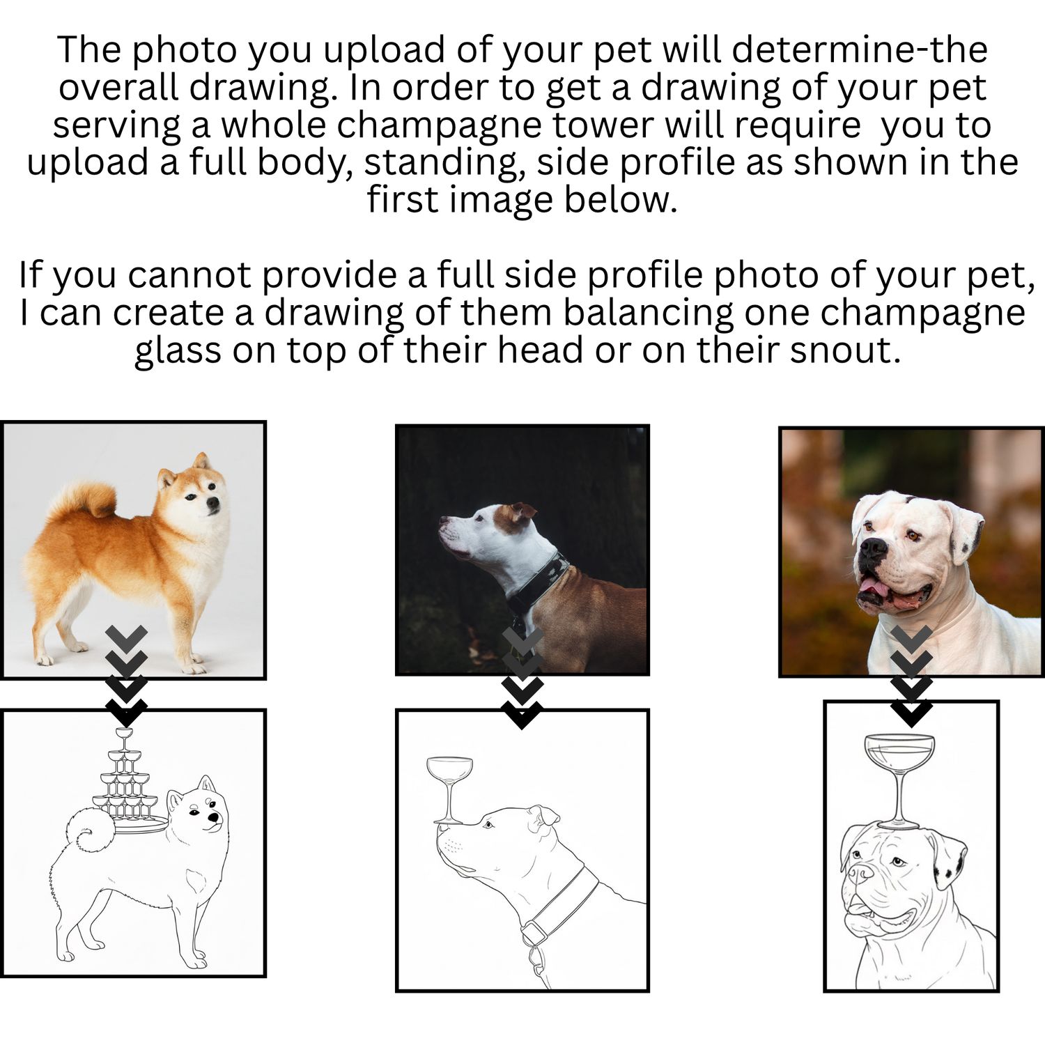 Pet Dog / Cat Illustration Champagne tower Match Box Favor