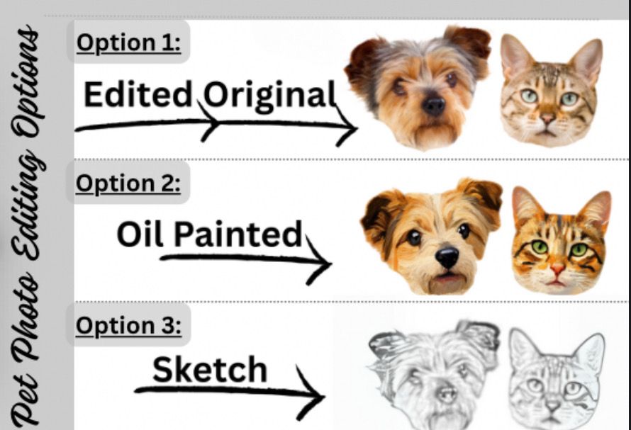 Pet Dog / Cat Illustration MATCHBOOK