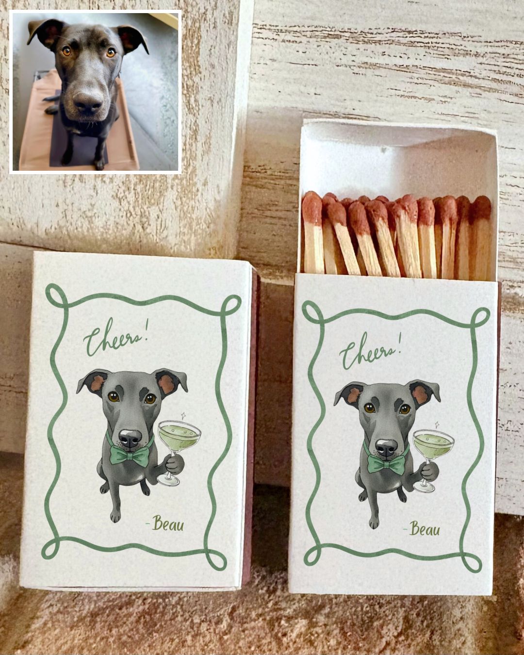 Pet Cheers Illustration MATCHBOOK or MATCHBOX