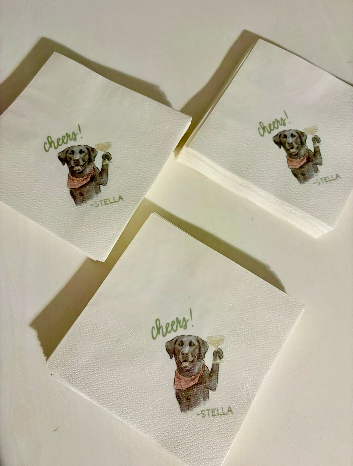 Pet’s Toast Illustrated Cocktail Napkins