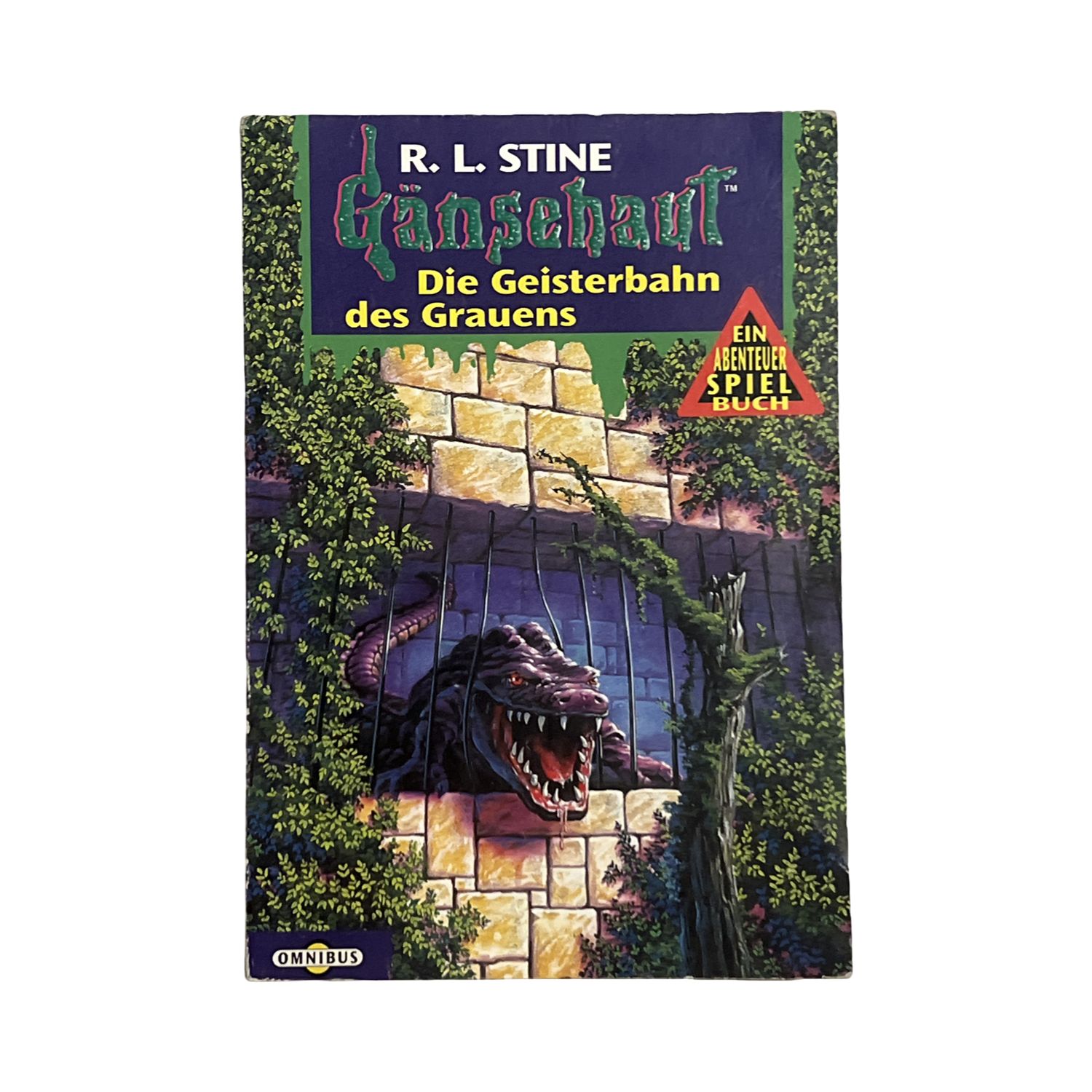 Gänsehaut: Die Geisterbahn des Grauens (Abenteuer-Spielbuch)