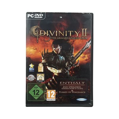 Divinity: Original Sin II - PC Game