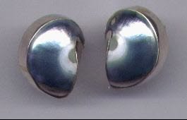 Nautilus Earrings Set In Sterling Silver