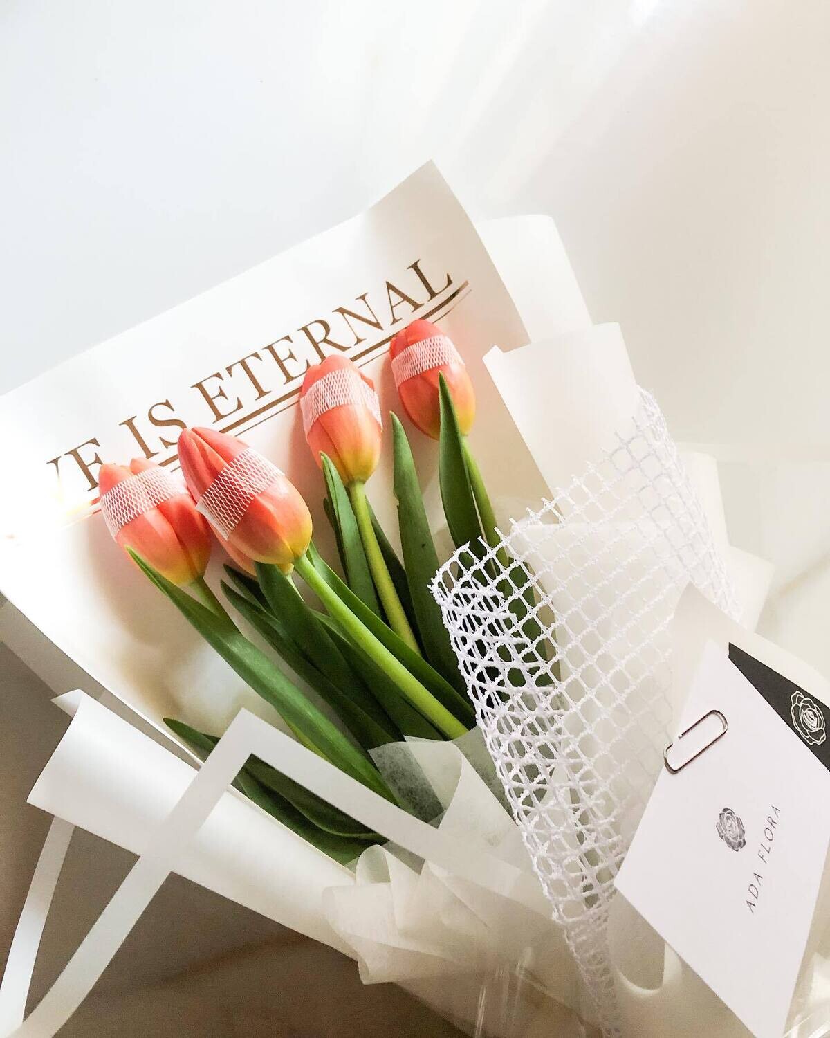 TULIPS