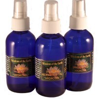 Tansy Wild Hydrolat - 120 ml