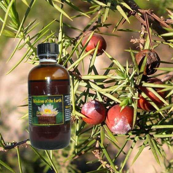 Cade (Prickly Juniper) 120ml  Black