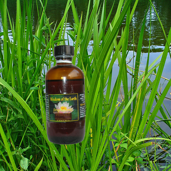 Calamus 120ml