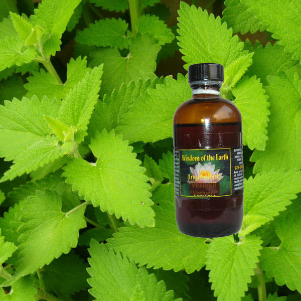 Catnip 120ml