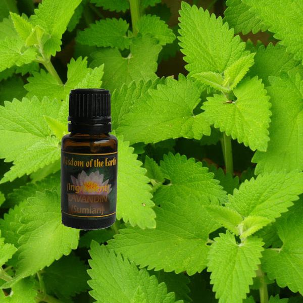 Catnip 5ml