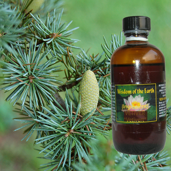Cedarwood Atlas 120ml