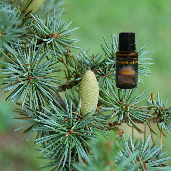 Cedarwood Atlas 15ml