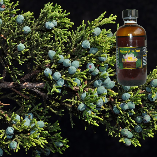 Cedarwood Texas 120ml