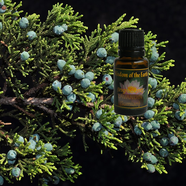 Cedarwood Texas 15ml