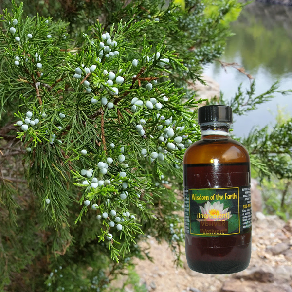 Cedarwood Virginia 120ml