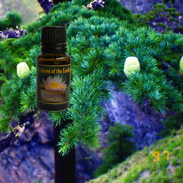Cedarwood Him 15ml
