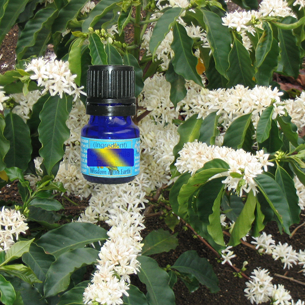 Coffee Flower 5ml