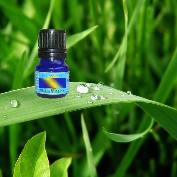 Davana 5ml