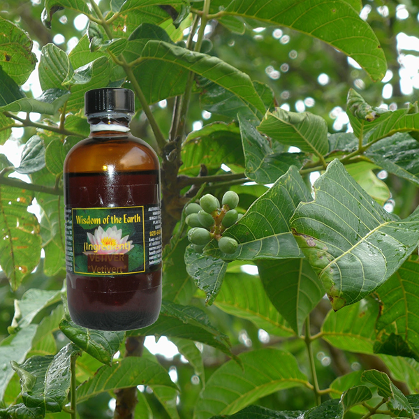 Elemi 120ml