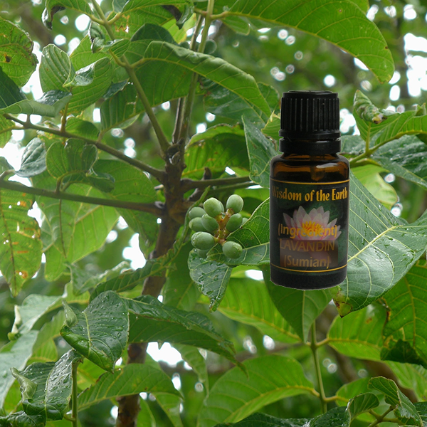 Elemi 15ml