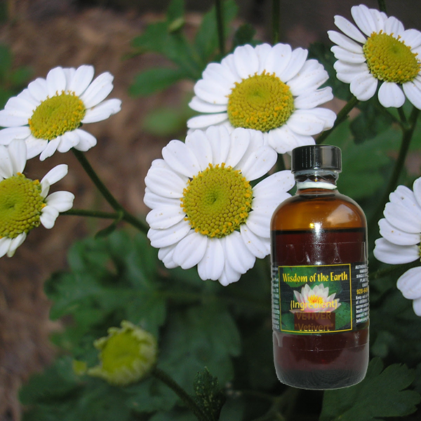 Feverfew 120ml