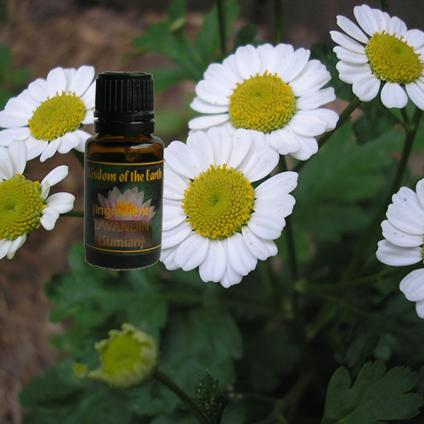 Feverfew 15ml