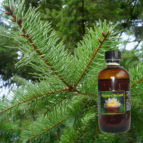 Fir Douglas 120ml
