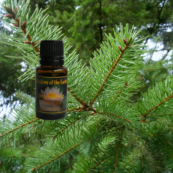 Fir Douglas 15ml