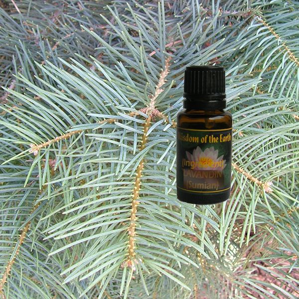 Fir White AZ  15 ml