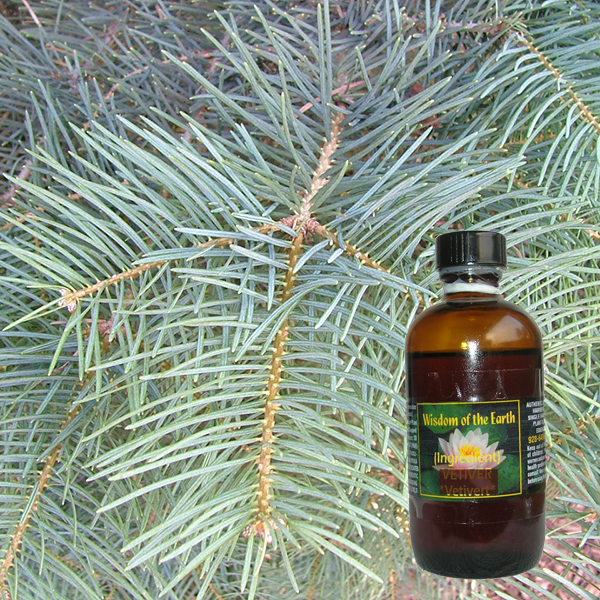 Fir White AZ 120ml