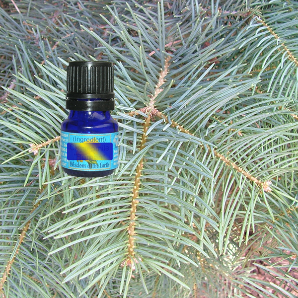 Fir White AZ 5ml
