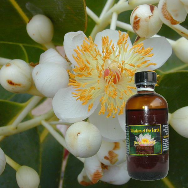 Foraha Oil - 120 ml