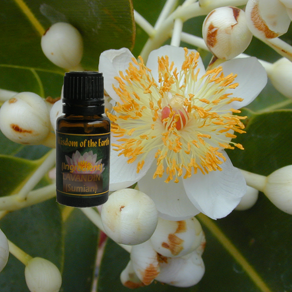 Foraha - 15 ml