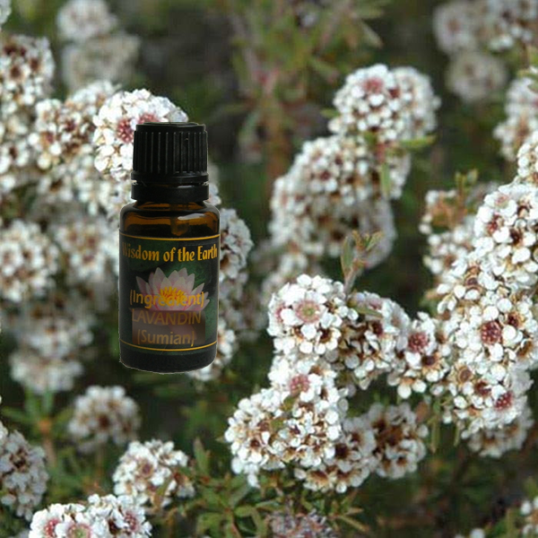 Fragonia 15ml