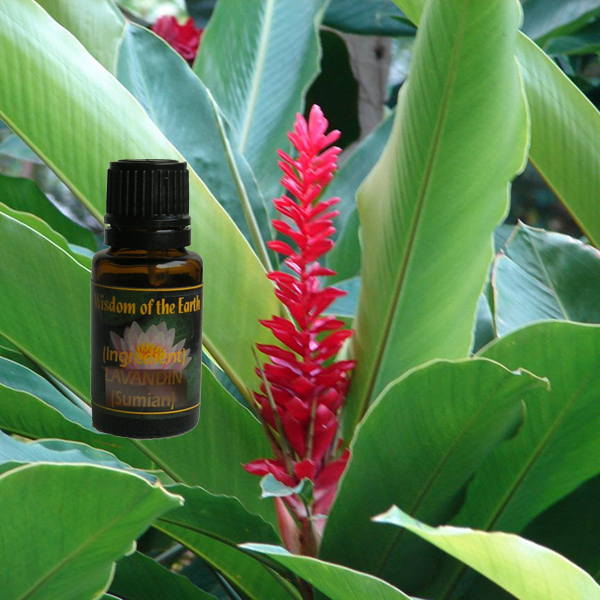 Ginger Lily - 15 ml