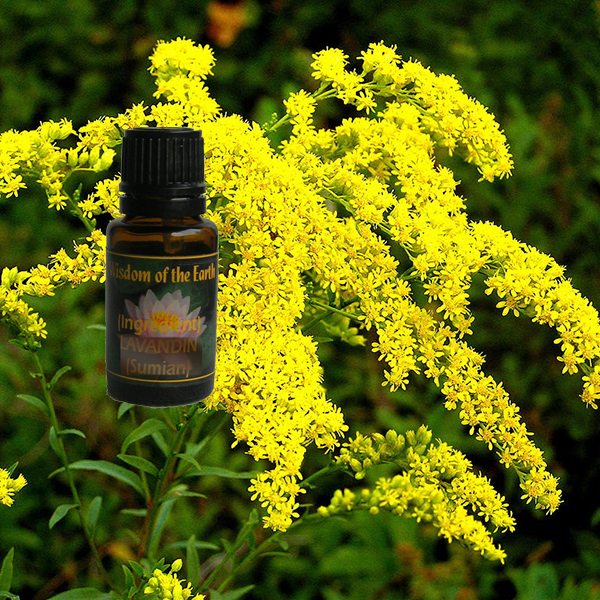 Goldenrod - 15 ml