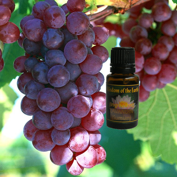 Grapeseed - 15 ml