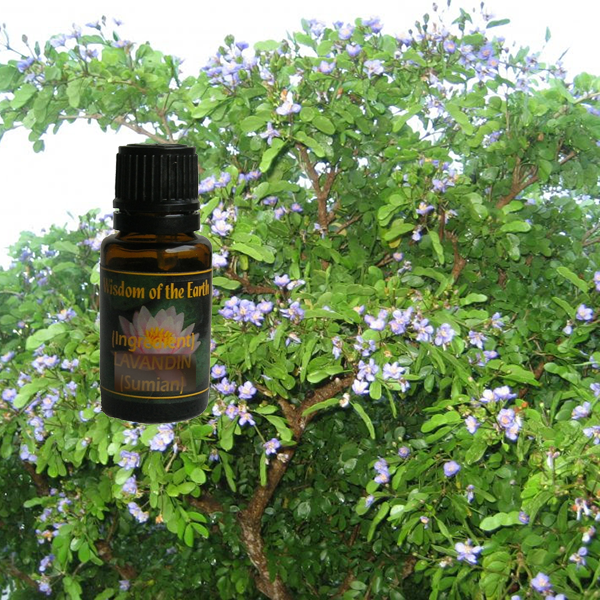 Guaiacwood 15ml
