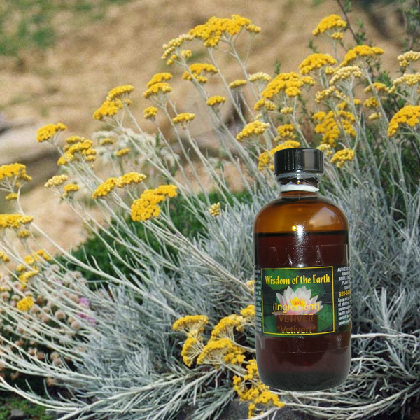 Helichrysum Immortelle Morocco 120ml