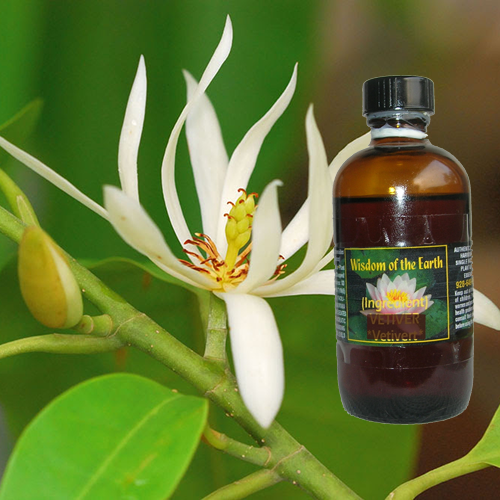 Magnolia Leaf 120ml