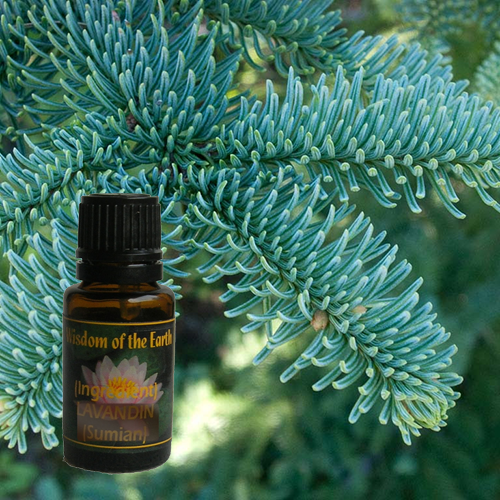 Fir Noble 15ml