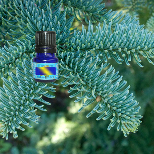 Fir Noble 5ml