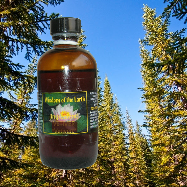Fir Needle Siberian Silver 120ml