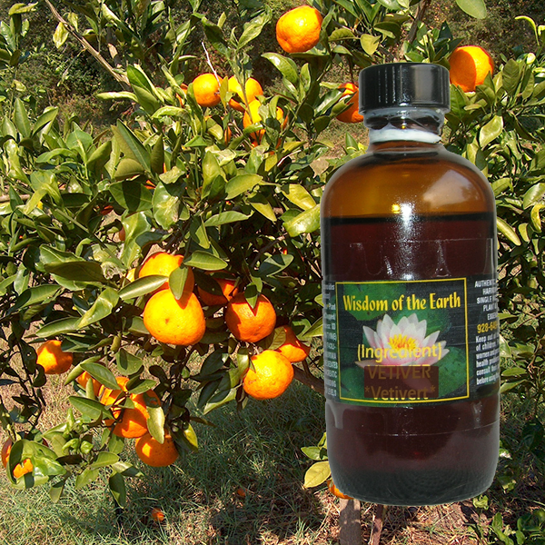 Tangerine 120ml